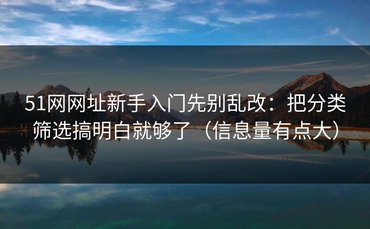 51网网址新手入门先别乱改：把分类筛选搞明白就够了（信息量有点大）